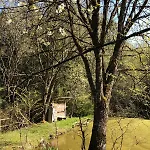 Casa vacanze Eifelwolke