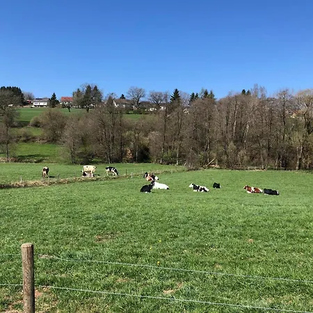 Eifelwolke Casa de Férias *