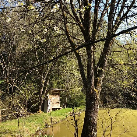 Casa de Férias Eifelwolke