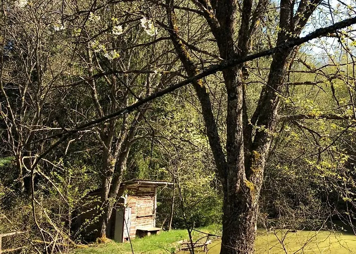 Holiday home Eifelwolke